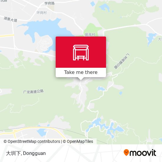 大圳下 map