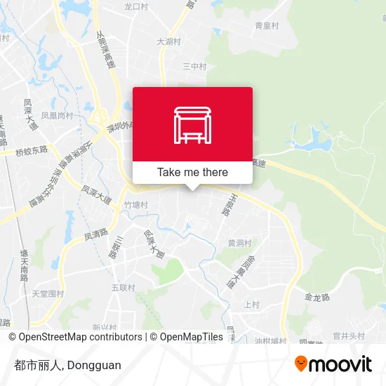 都市丽人 map