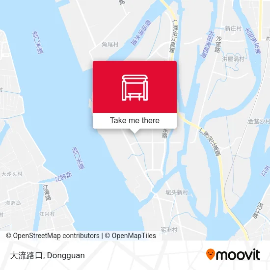 大流路口 map