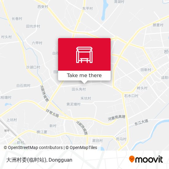 大洲村委(临时站) map