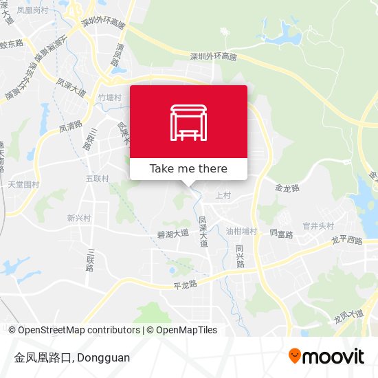 金凤凰路口 map