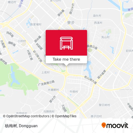 杨梅树 map