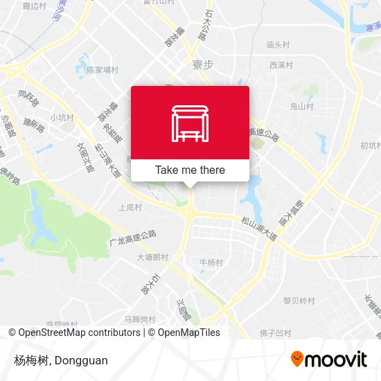 杨梅树 map