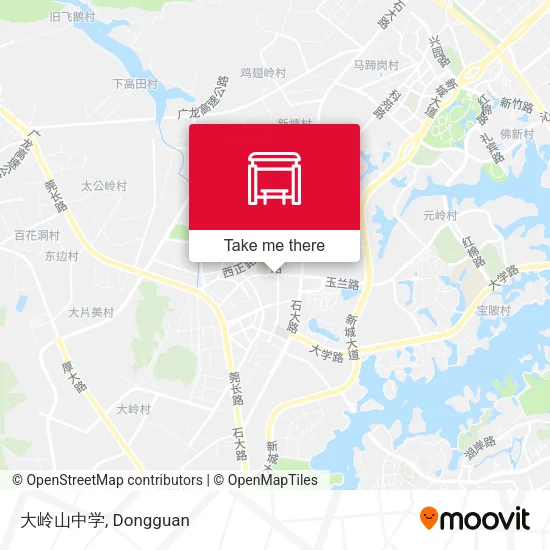 大岭山中学 map