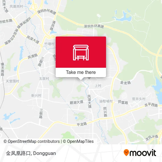 金凤凰路口 map