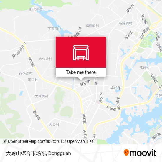 大岭山综合市场东 map