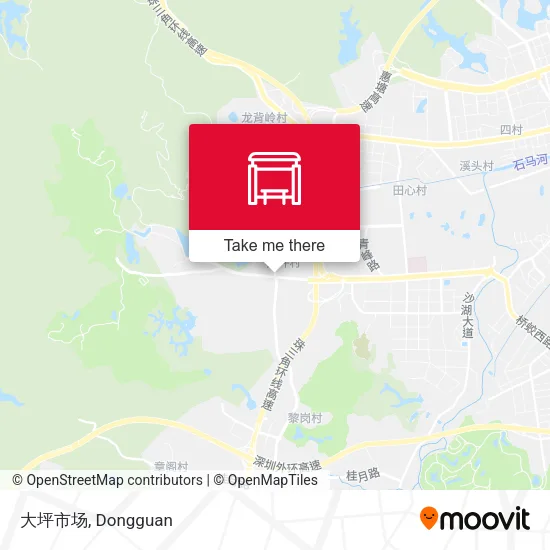 大坪市场 map