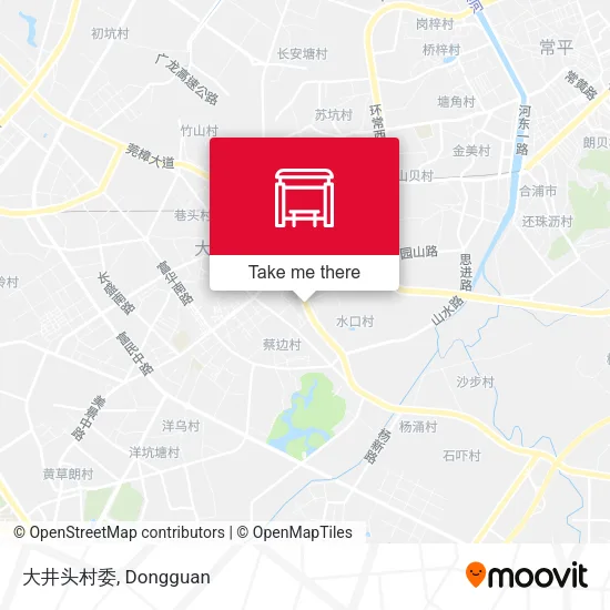 大井头村委 map