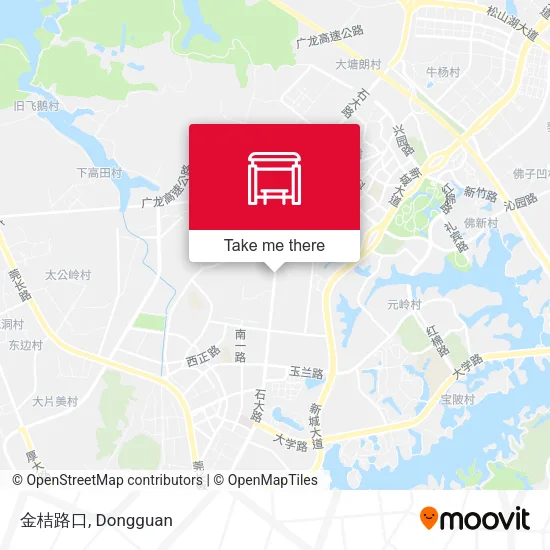 金桔路口 map
