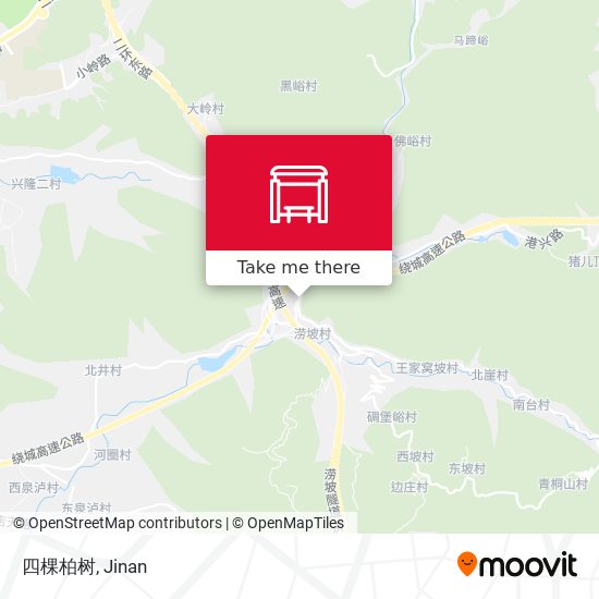 四棵柏树 map