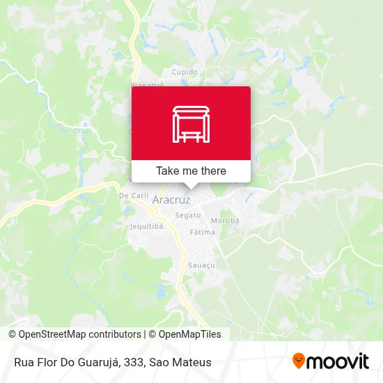 Rua Flor Do Guarujá, 333 map