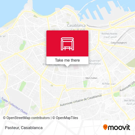 Pasteur map