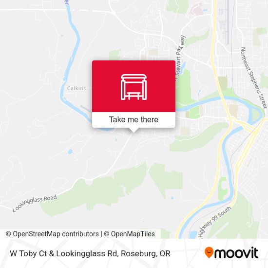 W Toby Ct & Lookingglass Rd map