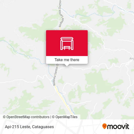 Api-215 Leste map