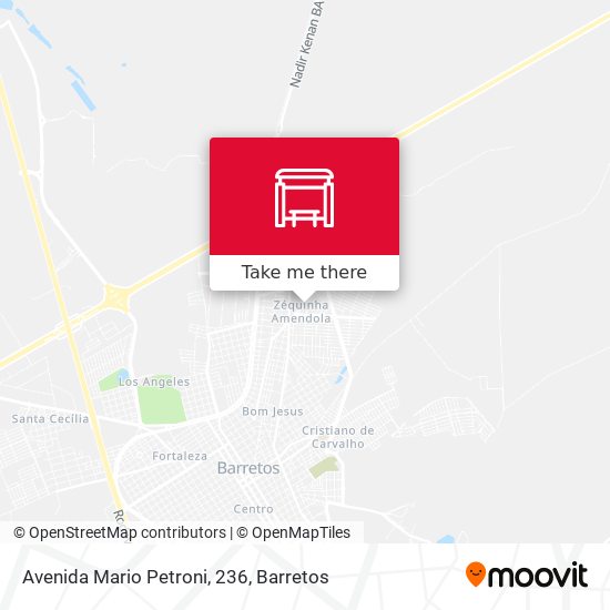 Avenida Mario Petroni, 236 map