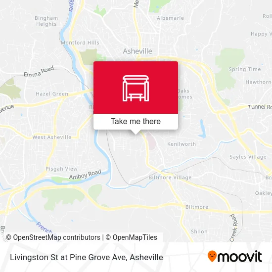 Mapa de Livingston St at Pine Grove Ave