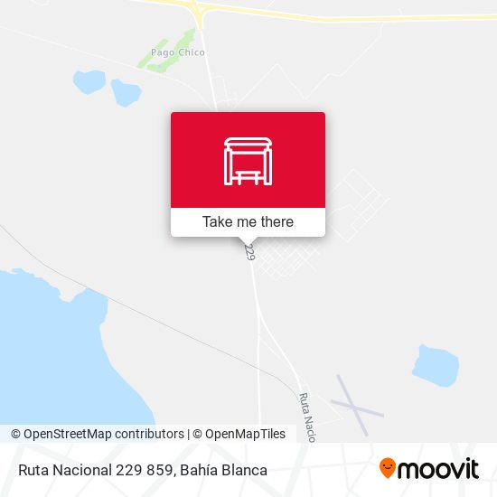 Ruta Nacional 229 859 map