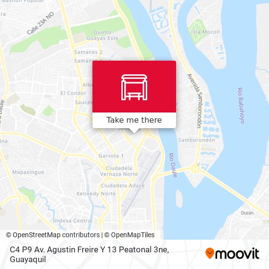 C4 P9 Av. Agustin Freire Y  13 Peatonal 3ne map