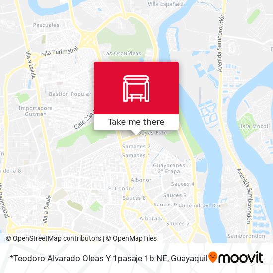 Mapa de *Teodoro Alvarado Oleas Y 1pasaje 1b NE