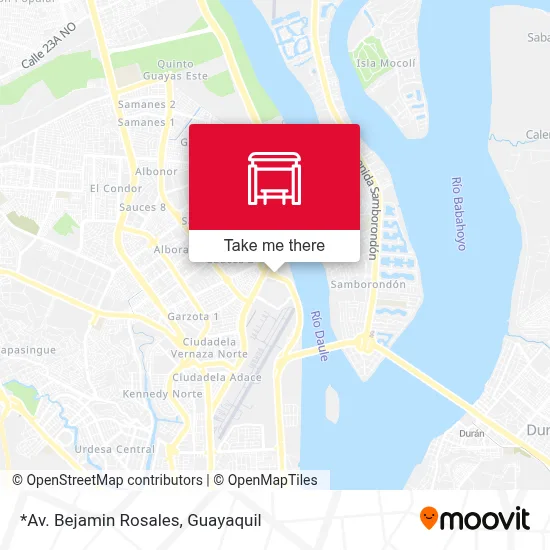 *Av. Bejamin Rosales map