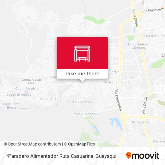 *Paradero Alimentador Ruta Casuarina map