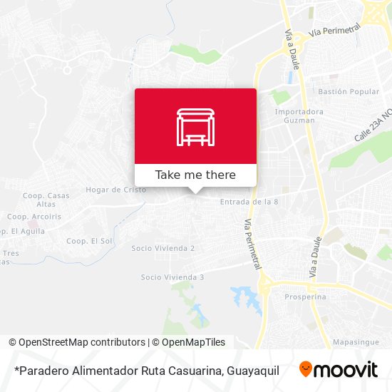 *Paradero Alimentador Ruta Casuarina map