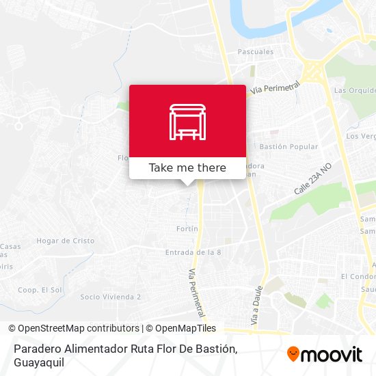 Mapa de Paradero Alimentador Ruta Flor De Bastión