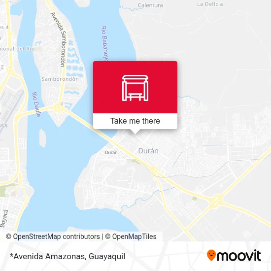 *Avenida Amazonas map