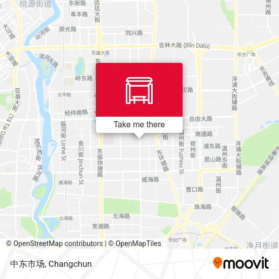 中东市场 map