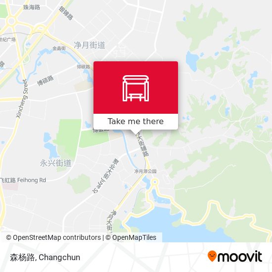 森杨路 map