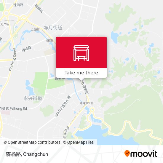 森杨路 map