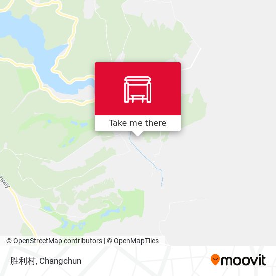 胜利村 map