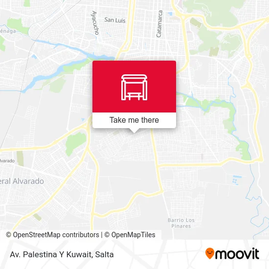 Av. Palestina Y Kuwait map