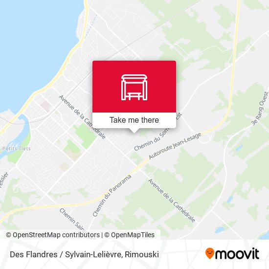 Des Flandres / Sylvain-Lelièvre map