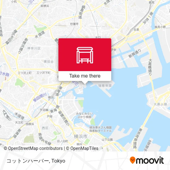 コットンハーバー map