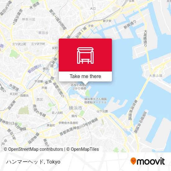 ハンマーヘッド map