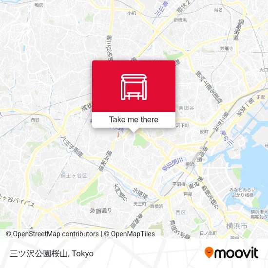 三ツ沢公園桜山 map