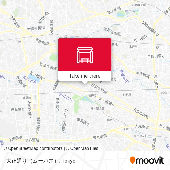Taisho Street (Mubus) map