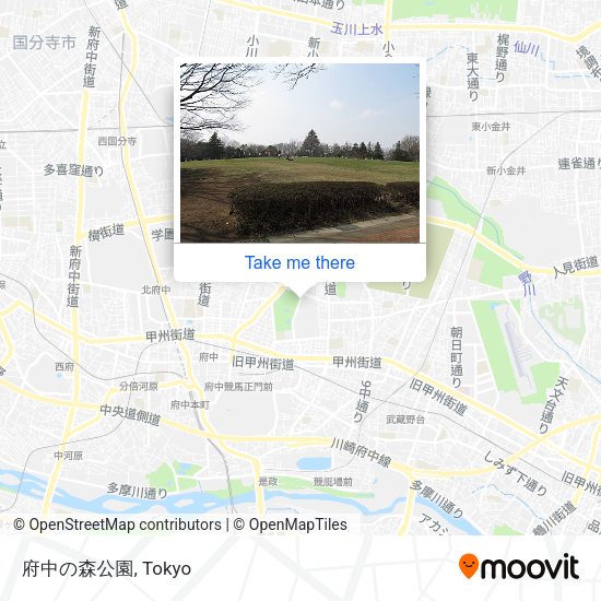 府中の森公園 map