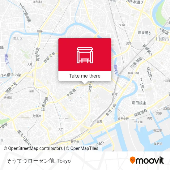 Sotetsu Rosen Store map