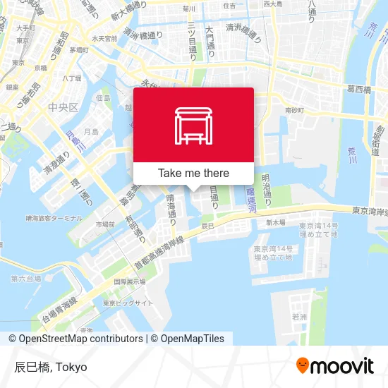 辰巳橋 map