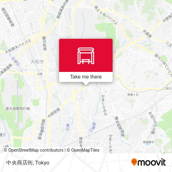 Central Shopping District map