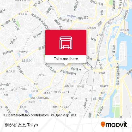 Kirigaya Slope Top map