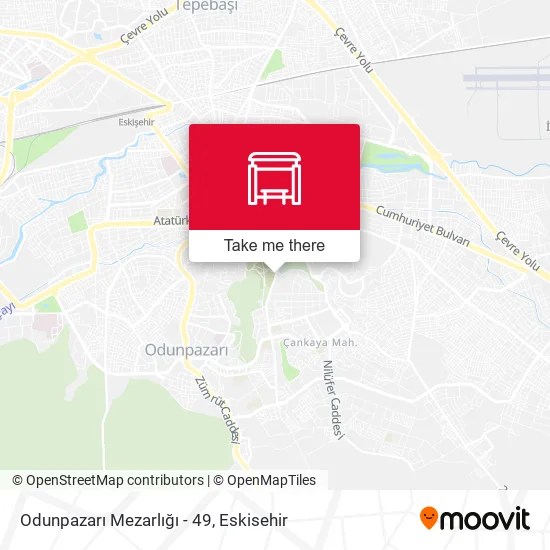 Odunpazarı Mezarlığı - 49 map