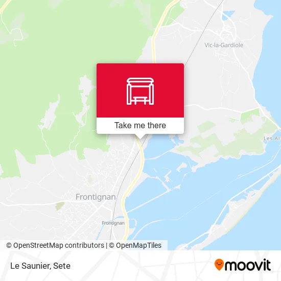 Le Saunier map