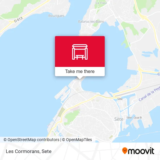 Les Cormorans map