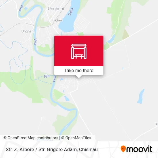 Str. Z. Arbore / Str. Grigore Adam map