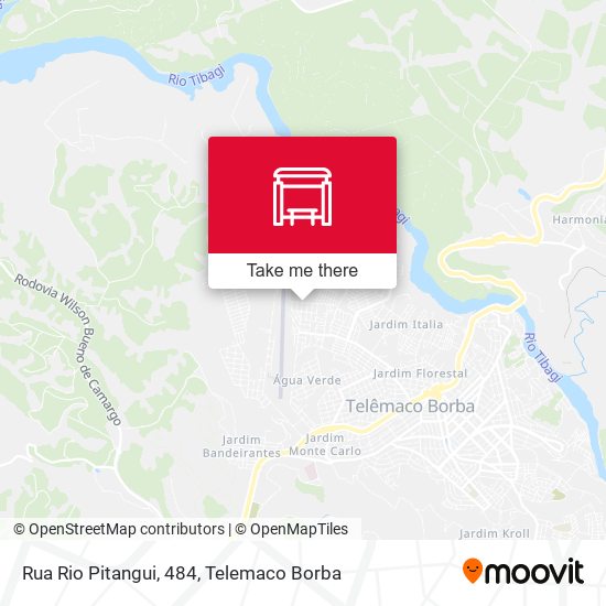 Rua Rio Pitangui, 484 map
