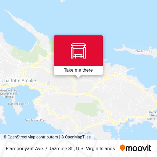 Flambouyant Ave. / Jazmine St. map