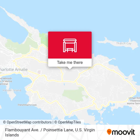 Flambouyant Ave. / Poinsettia Lane map